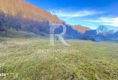 Teren de 1500 mp, în Bulz - 10