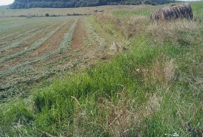 Teren de 8000 mp, în Chinteni - 11