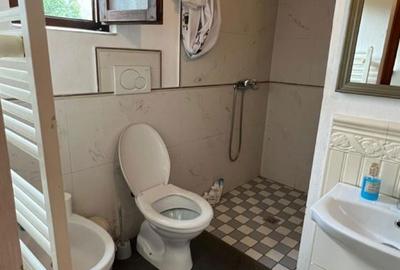 Casă cu 4 camere în Valea Neagră - 7