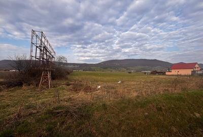 Teren Construcții intravilan de 12300 mp, în Sud - 5