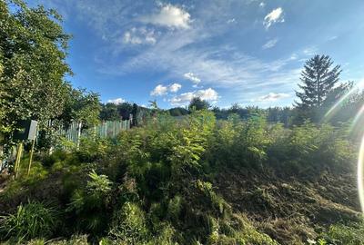 Teren Construcții intravilan de 4251 mp, în Dealuri Oradea - 4