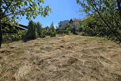 Teren de vanzare Platou Prundu, 500 mp - 3