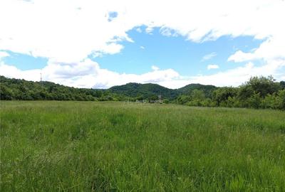 Borlovenii Noi, Teren Drept, 16000mp, la Limita Localitatii - 8