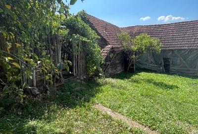 Casă la țară jud Hunedoara - 13