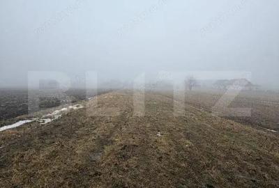 Teren de 2500 mp, în Central