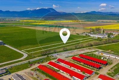 Teren agricol extravilan de 5009 mp, în ISR - 1