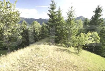 Spațiu comercial, în Colibița - 7