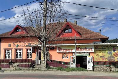 Casă cu 4 camere în Coman - 2