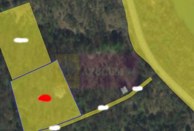 Teren intravilan de vanzare in Lunca Mare (la 10 km de Va... - 3