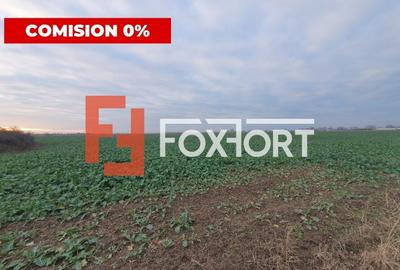 COMISION 0% Teren extravilan agricol 10.000 mp la sosea in Sag - 6