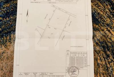 Teren de 4990 mp, în Valea Doftanei