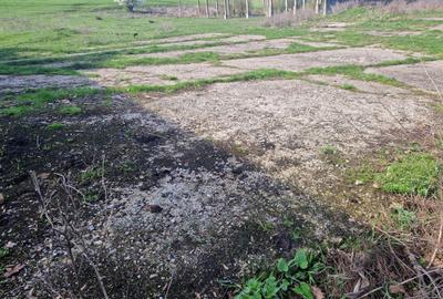 Spațiu comercial, în Cămărașu - 4