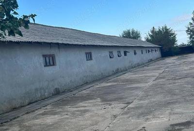 Teren de 5000 mp, în Central - 10