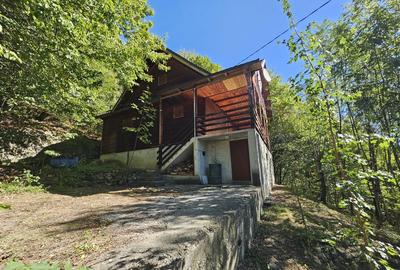 Cabana Lep?a, jud. Vrancea - Cheile Ti?i?ei - 2