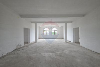 De vanzare proprietate unicat in Sascut - Bacau - 46