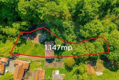 Teren Construcții intravilan de 1147 mp, în Sohodol