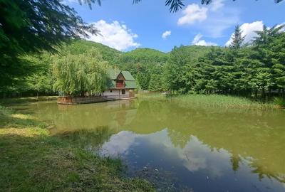 RECO, Cabana pe apa in Padurea Neagra, Bihor - 8