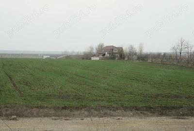 Particular, 10.200 mp. teren situat in Moara Vlasiei cu acces din DJ - 2