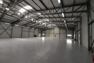 Drumul Intre Tarlale - birouri si depozitare - temperatura controlata - 24