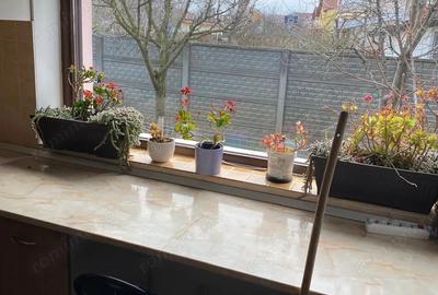 De inchiriat 1 2 Duplex zona Kuncz- 1287 - 6