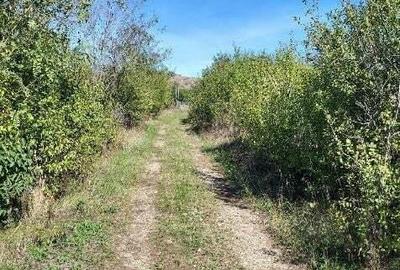 Teren intravilan Loc. Baicoi, Jud Prahova-id 17235 Teren intravilan Loc. Baicoi, Jud Prahova-id 17235 - 1