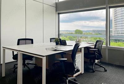 Acces all-inclusive la birouri in Regus Green Gate - 9