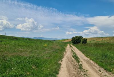 TEREN INTRAVILAN  BOD - 1200 mp pentru constructii case Sp+P+E+M - 12