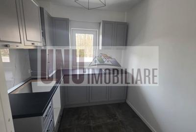 Garsonieră decomandată în Bucium - 2