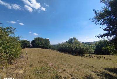 Teren de 2200 mp, în Frumosu - 6