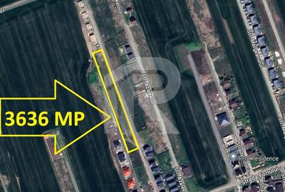 Domnesti Fortului |  Teren constructii intravilan - 3