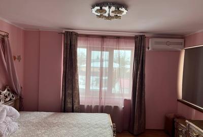 Moara Vlasiei, Particular, unica in zona, vila cu 9 camere, 7 bai, 2 garaje - 18