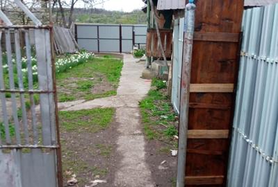 Casă cu 2 camere cu Teren 2325 Mp în Scornicești - 2