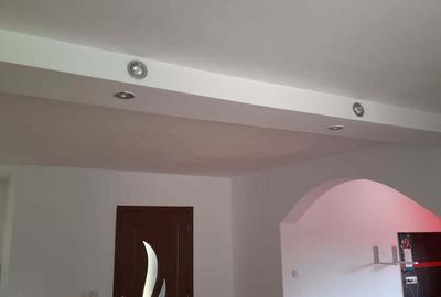 Casă cu 5 camere cu Teren 4000 Mp în Timișești - 4
