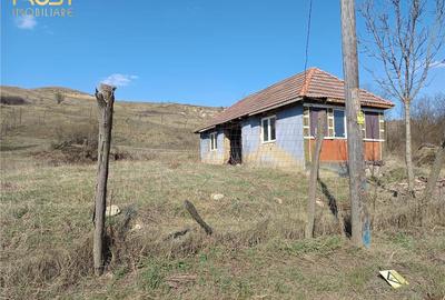 Casă cu 2 camere cu Teren 2698 Mp în Hagău - 2