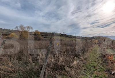 Teren de 2000 mp, în Șard - 1