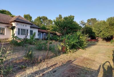 Spațiu comercial, în Picior de Munte - 4