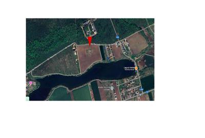 Teren de vânzare cu acces direct la lac, între pădure și apă – Moara Vlăsiei - 3