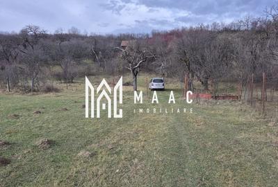 Teren de vanzare | Orlat | Extravilan - 7