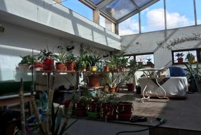Proprietate speciala situata in Lazu, jud. Constanta - 5