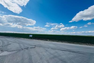 Teren agricol extravilan de 17700 mp, în Biharia - 3