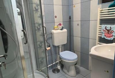 Fermei-Echinoctiului-Casa de inchiriat-160 mp utili-curte 100 mp - 1