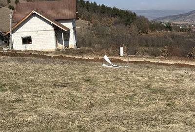 Spațiu comercial, în Central