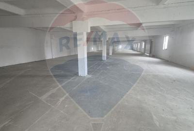 Spațiu industrial, de 500 mp, în Vest - 5