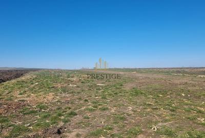 Teren Construcții intravilan de 420 mp, în Șura Mică - 3