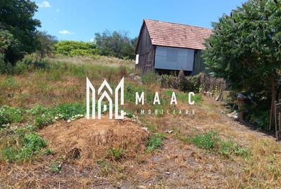 Casă individuală cu 4 camere cu Teren 2000 Mp în Alțina - 10