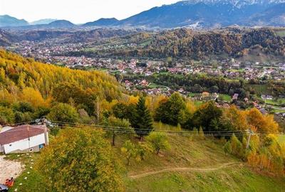 Film! Teren in peisaj mirific, Parcul Natural Piatra Craiului, Moieciu, Magura, - 3