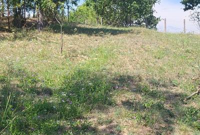 Spațiu comercial, în Nicolae Bălcescu - 5