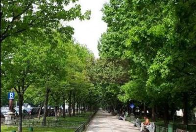 Apartament cu 2 camere decomandat în Unirii - 8