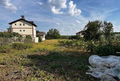 Casă cu 4 camere cu Teren 1945 Mp în Ciolpani - 1
