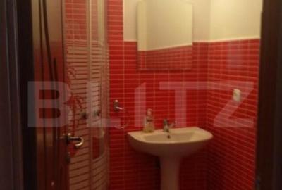 Apartament de vanzare, cu o camera, 44 mp, zona centrala - 2